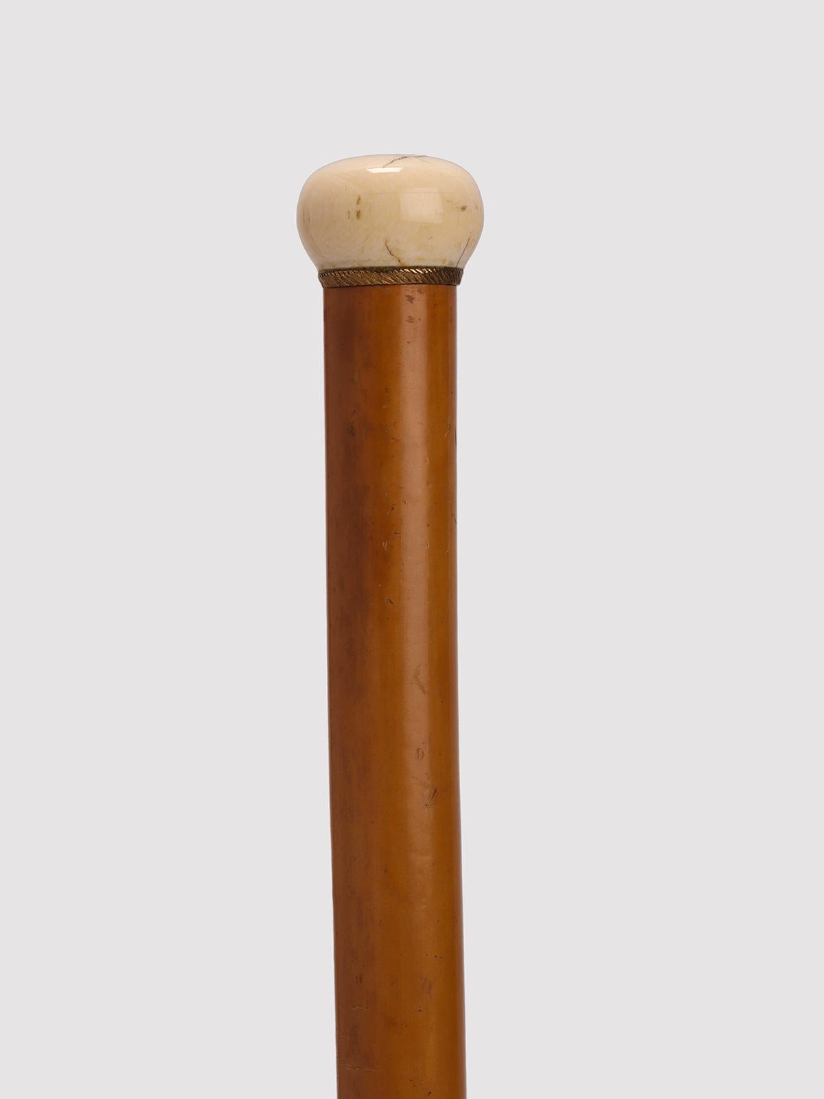 Gadget-System-Stick: Stick mit der Funktion des Entomologen. Rattanstock, Elfenbein und Messingknauf. Im Inneren eine Klapplinse aus Messing mit Elfenbeingriff und Stift, ebenfalls mit Elfenbeingriff. Frankreich um 1890. (VERSAND NUR IN DIE EU)