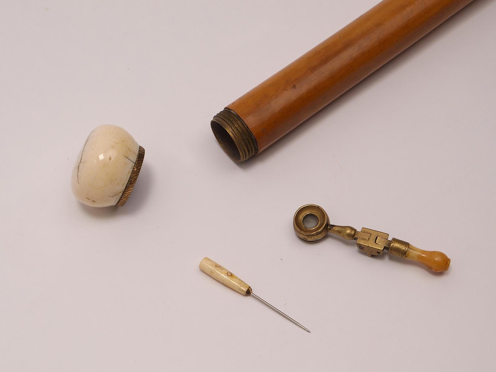 System walking stick für Entomologen, Frankreich 1890. (Französisch) im Angebot