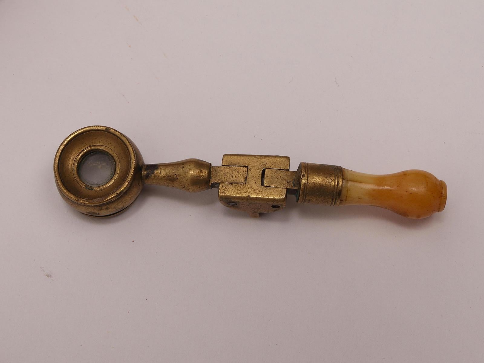 System walking stick für Entomologen, Frankreich 1890. im Zustand „Gut“ im Angebot in Milan, IT