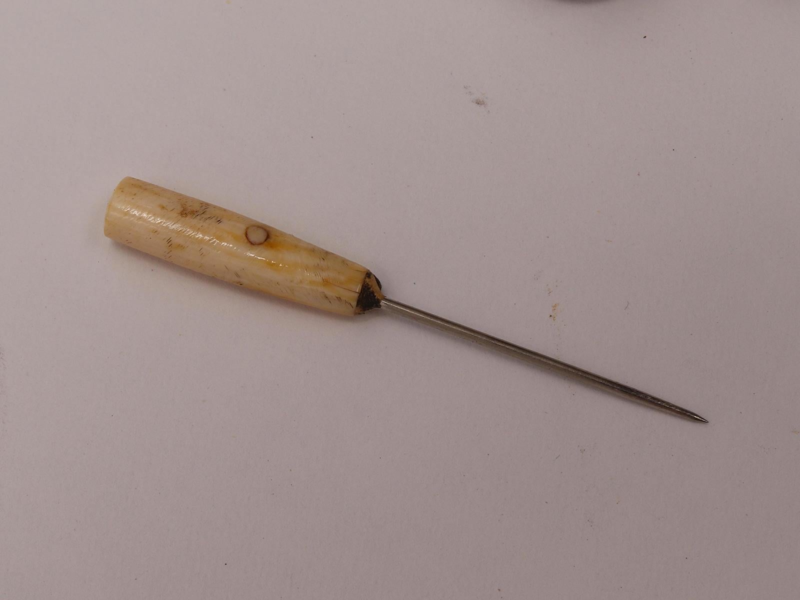 System walking stick für Entomologen, Frankreich 1890. (19. Jahrhundert) im Angebot