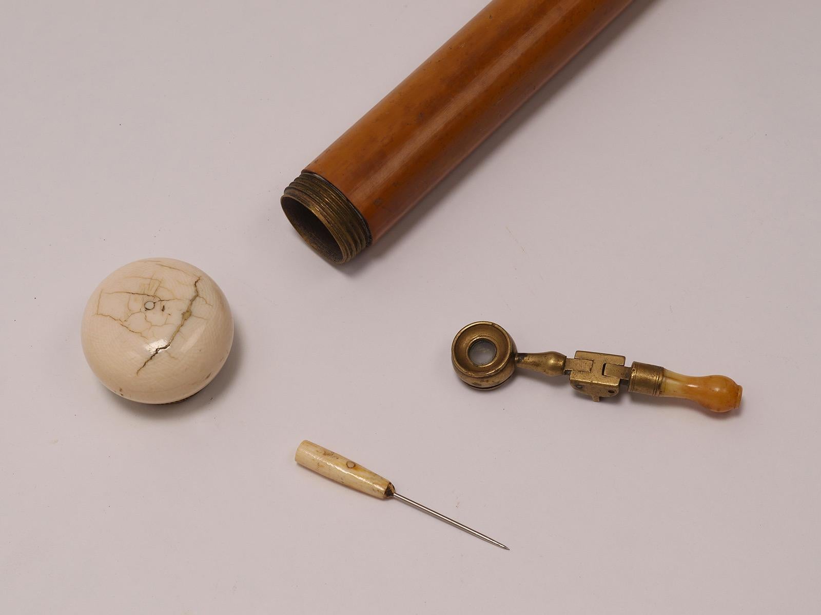 System walking stick für Entomologen, Frankreich 1890. (Messing) im Angebot