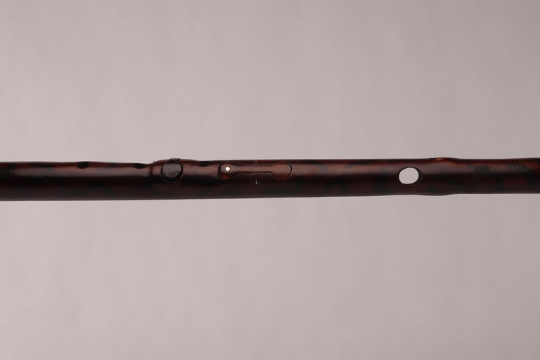 System Walking Stick, the Flute, Austria, 1870 For Sale at 1stDibs