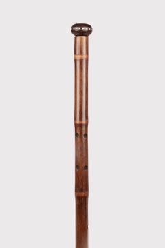 System walking stick with the function of a musical instrument. France 1890.