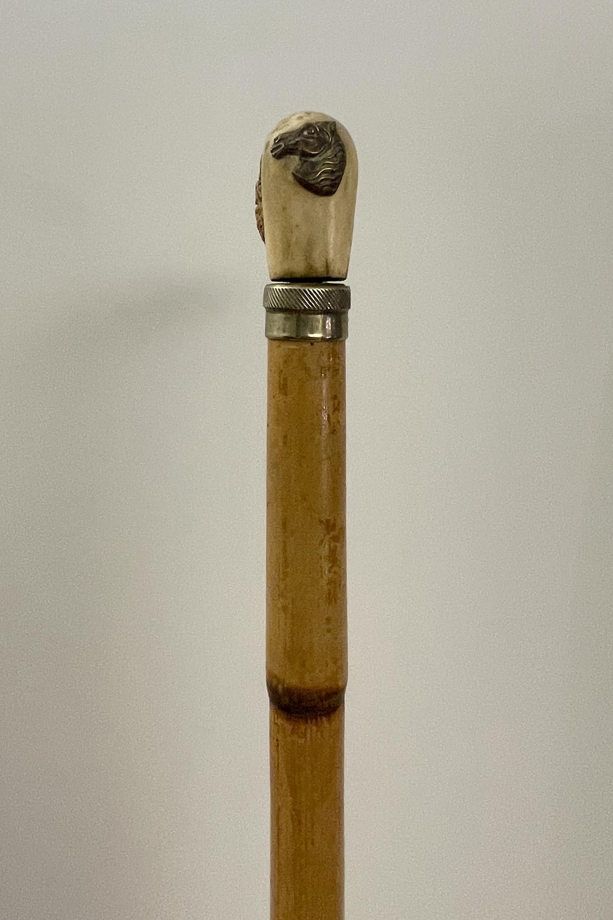 System walking stick with the function of measuring device, France 1890. For Sale 4