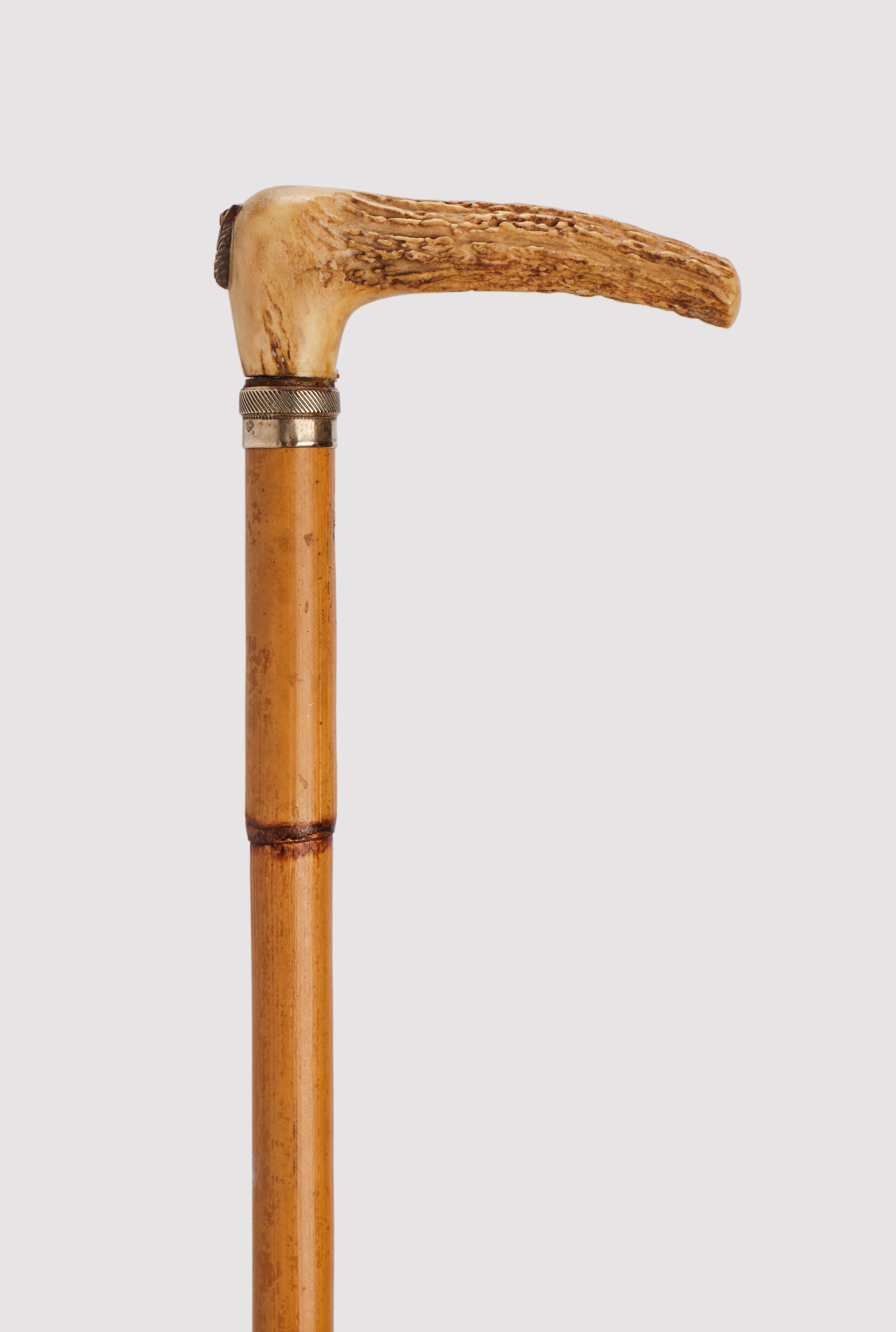 Gadget-System walking stick: stick with the function of measuring horses. Bamboo wood barrel, deer horn knob with copper horse head profile. Pulling the knob removes an instrument for measuring the height of the horse's withers. France circa 1890.