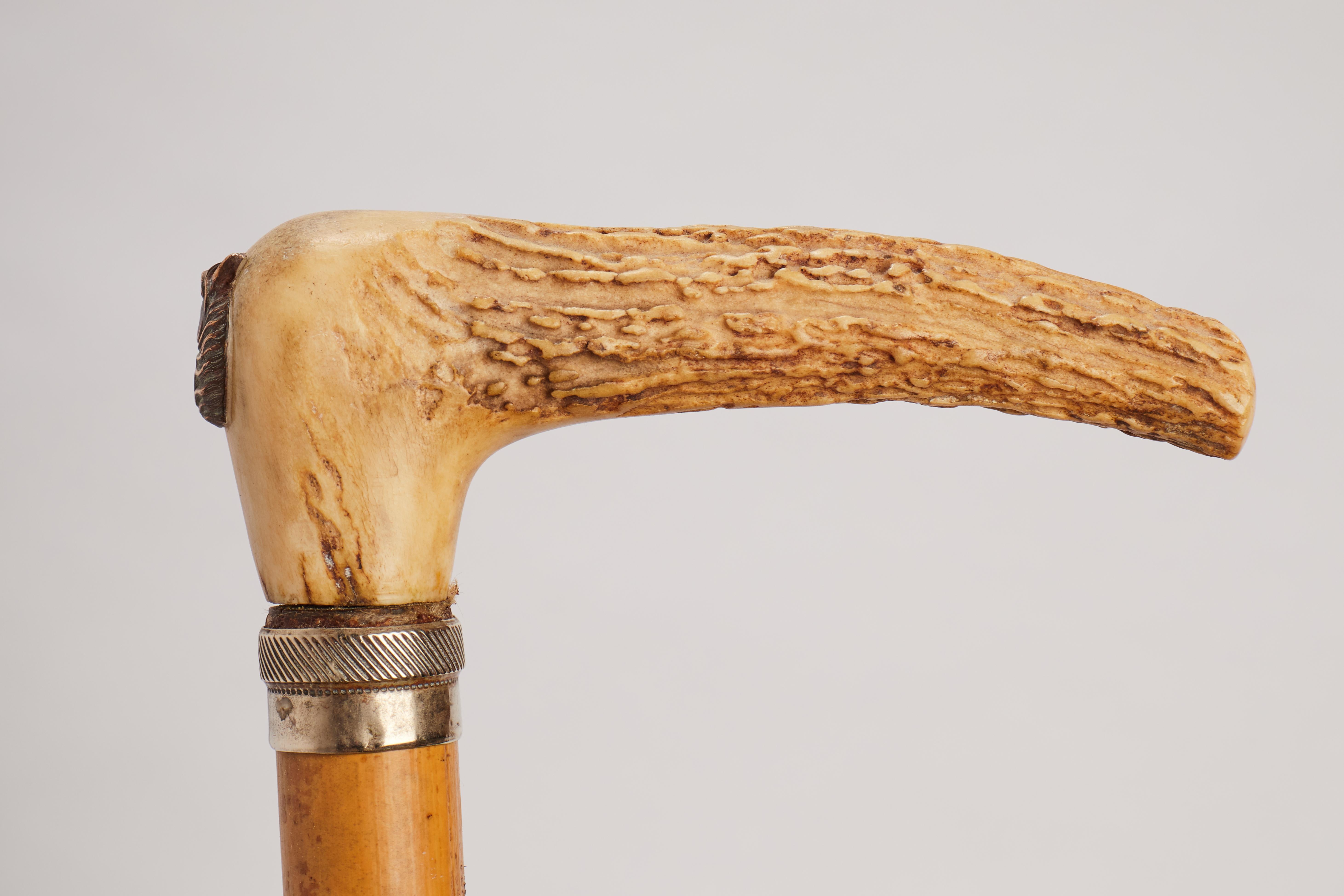System walking stick with the function of measuring device, France 1890. For Sale 1