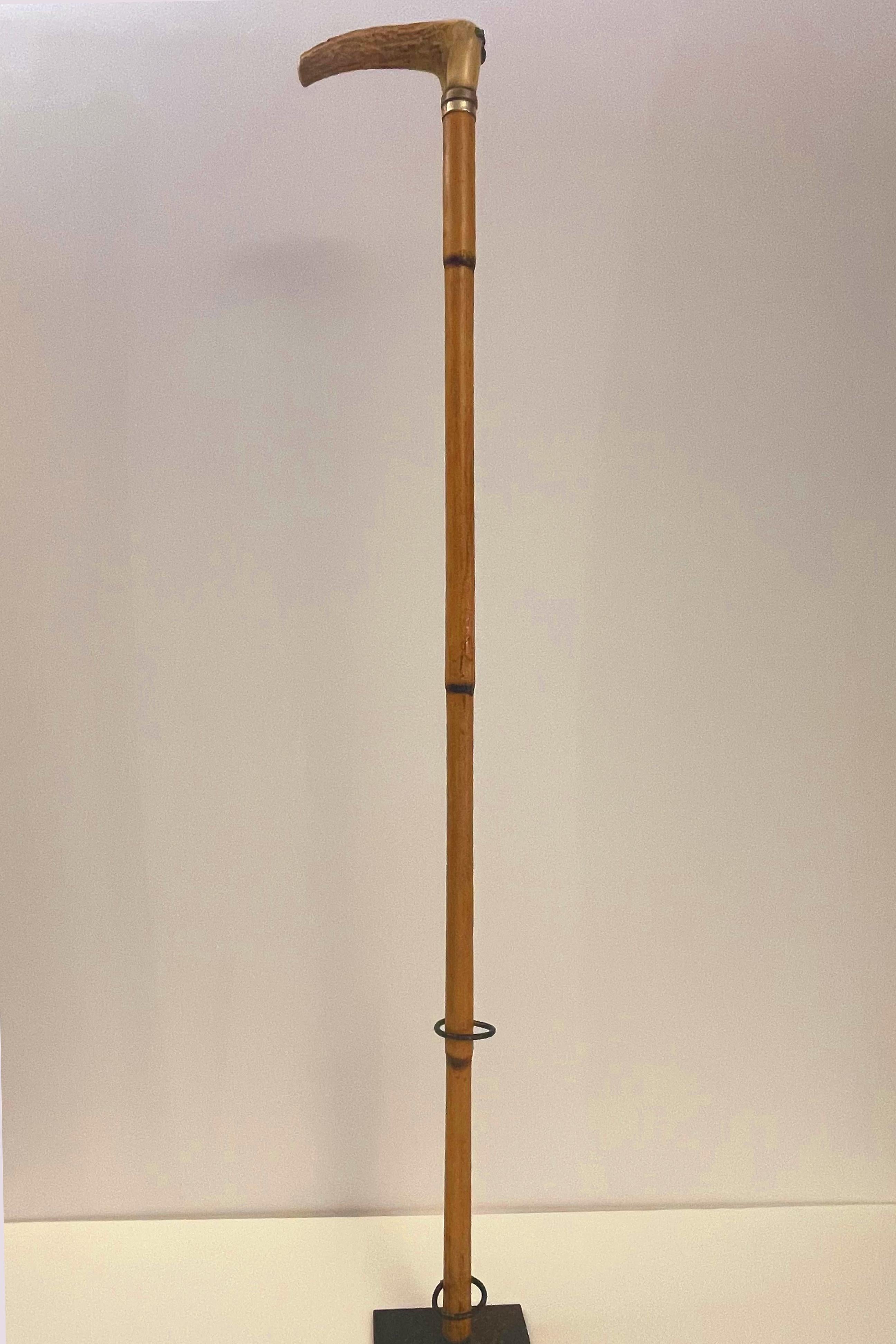 System walking stick with the function of measuring device, France 1890. For Sale 2