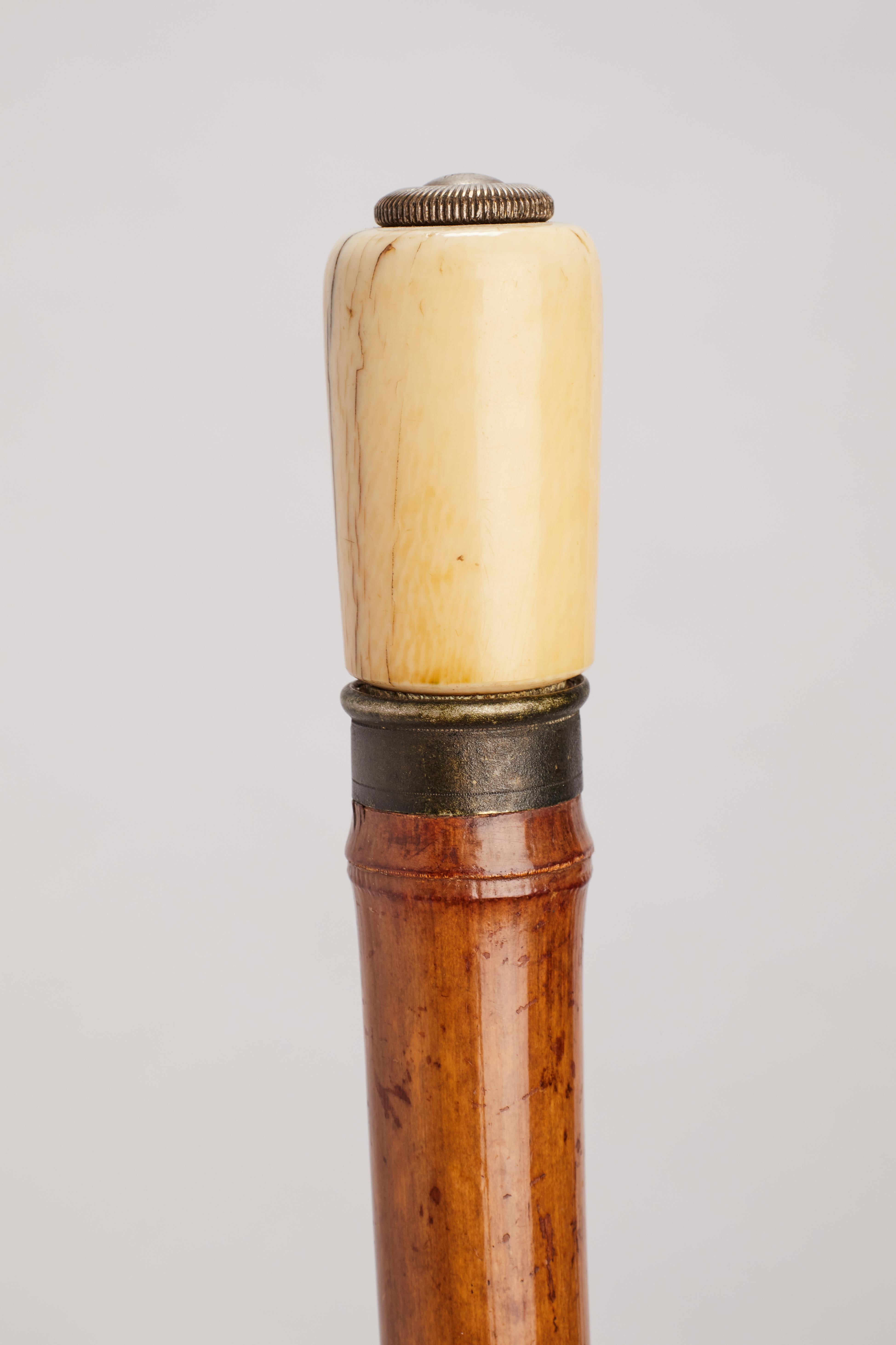 System walking stick mit der Funktion eines Scherens, Frankreich 1890. (Französisch) im Angebot