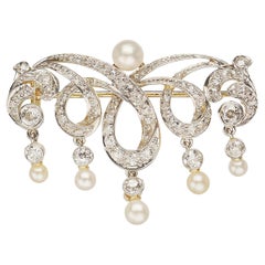 T. B. Starr Broche Belle Époque en platine et or avec perles, circa 1905