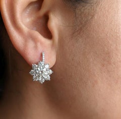 T. Foster & Co. Orecchini a goccia in platino con diamanti certificati GIA da 6,85 ct.