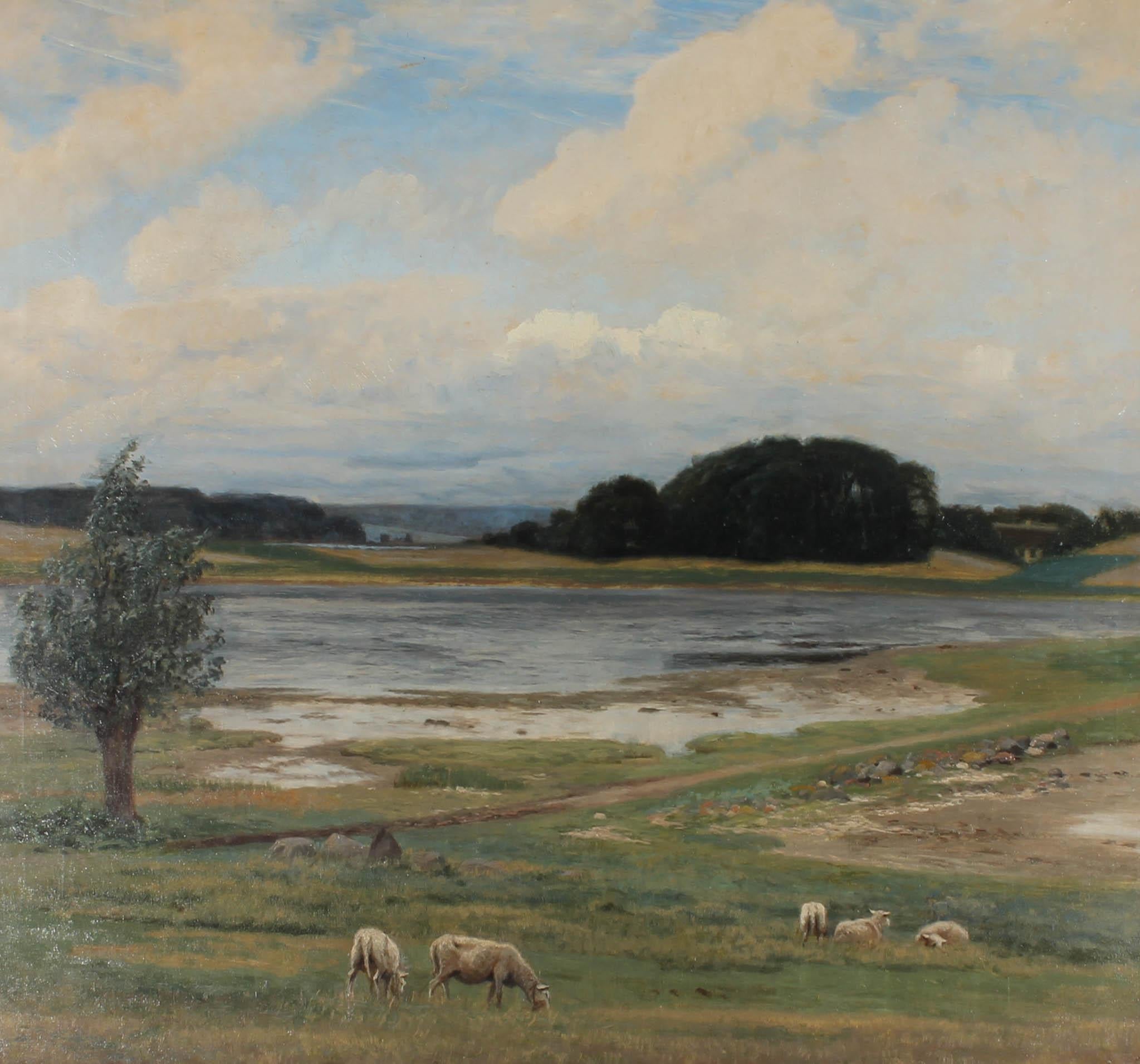 T. Nils - Olio della metà del XX secolo, Pecore vicino al fiordo 1