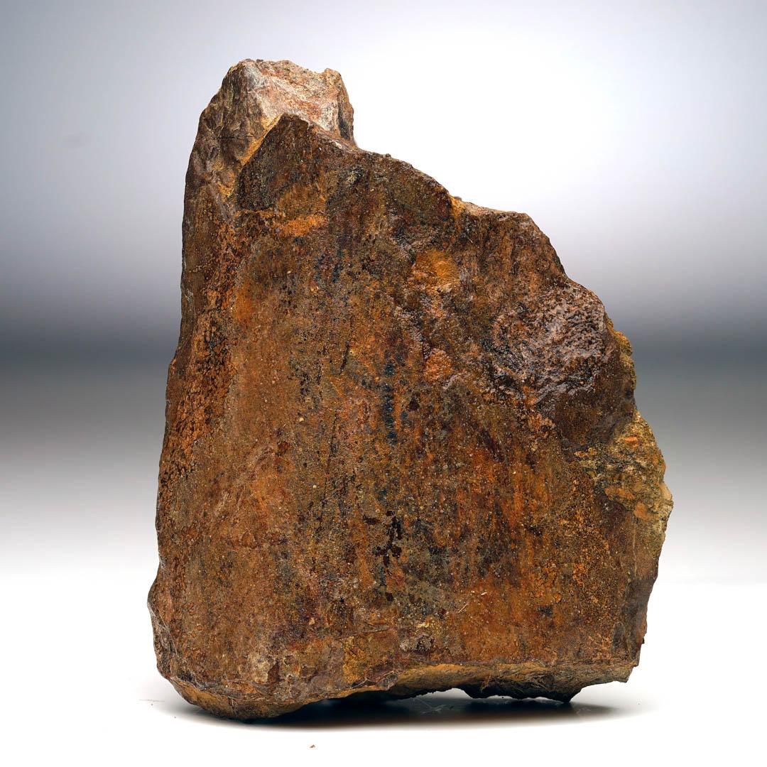 XVIIIe siècle et antérieur T. Rex Limb Bone Fragment en vente
