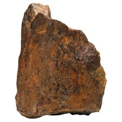 Natural Specimens