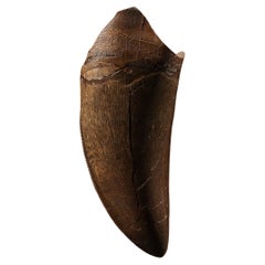 T-Rex Tooth