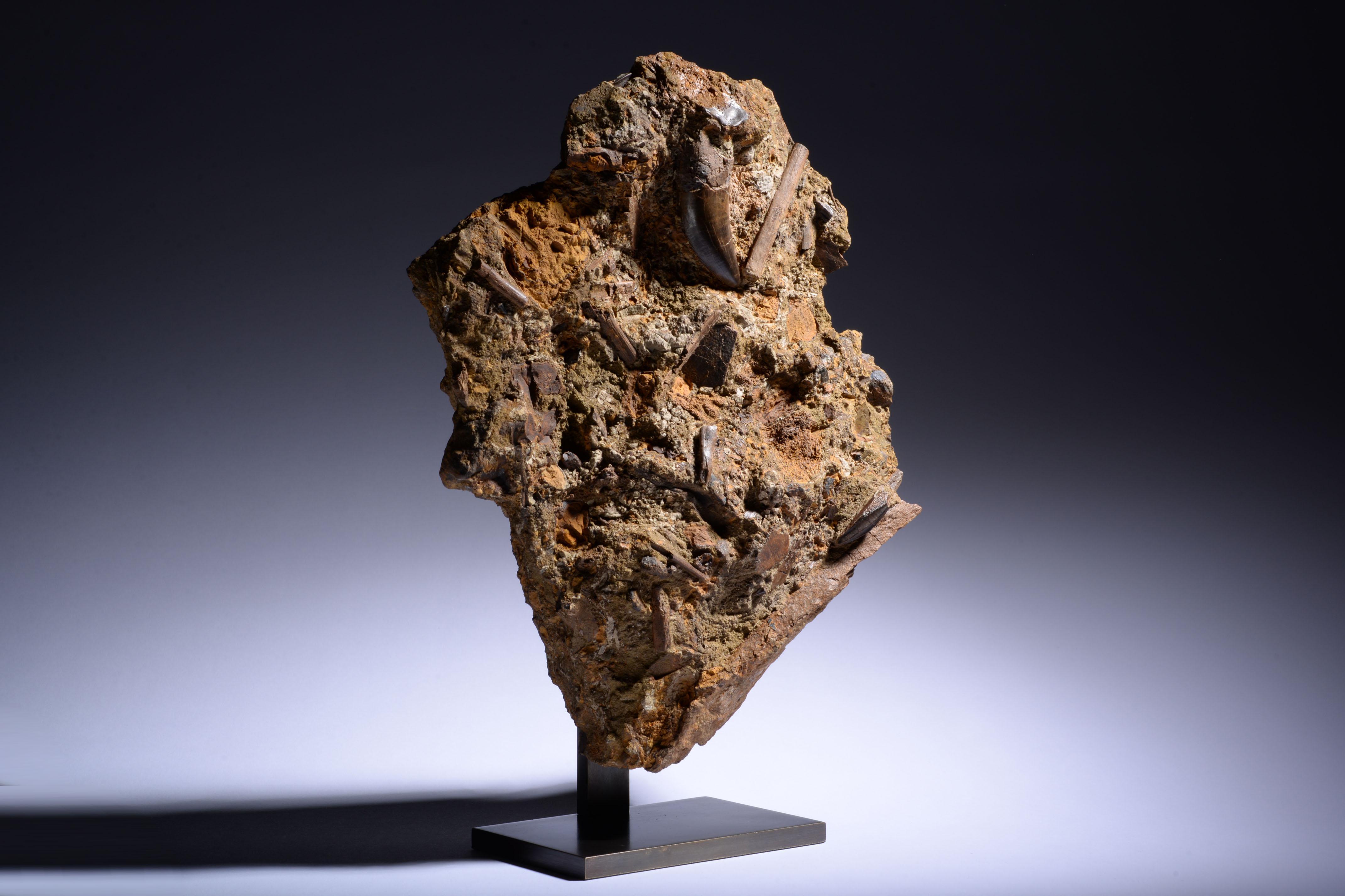 18th Century and Earlier T. Rex Tooth in Fossil Matrix For Sale