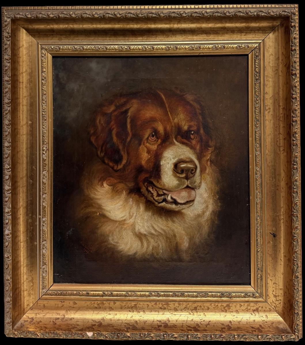 St. Benard Dog Portrait Antique British Signed Oil Painting dated 1919