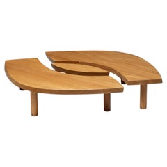 T22C L'oeil Coffee Table by Pierre Chapo, France, 1972