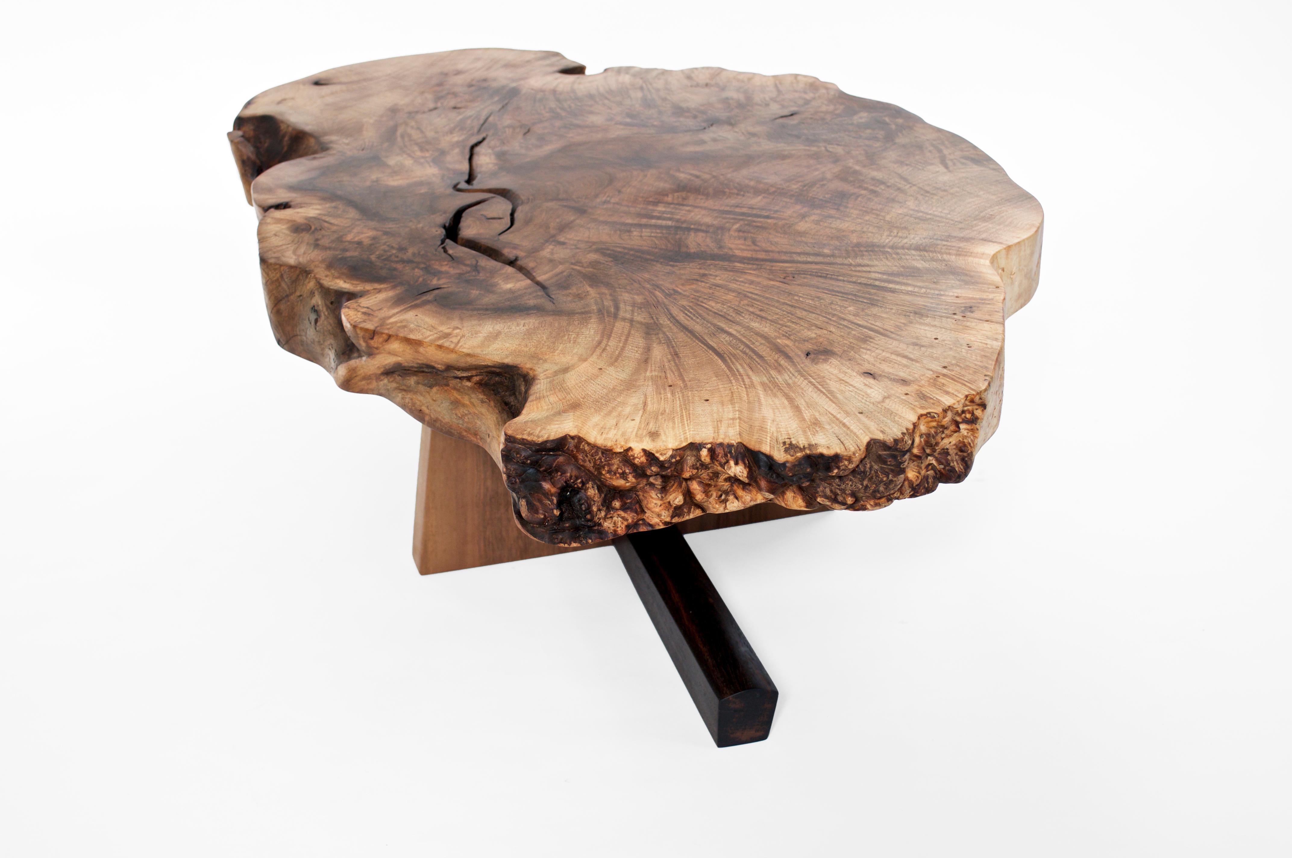 Mesa baja T2611 de wengué, caucásico y nogal europeo by Jörg Pietschmann Siglo XXI y contemporáneo en venta