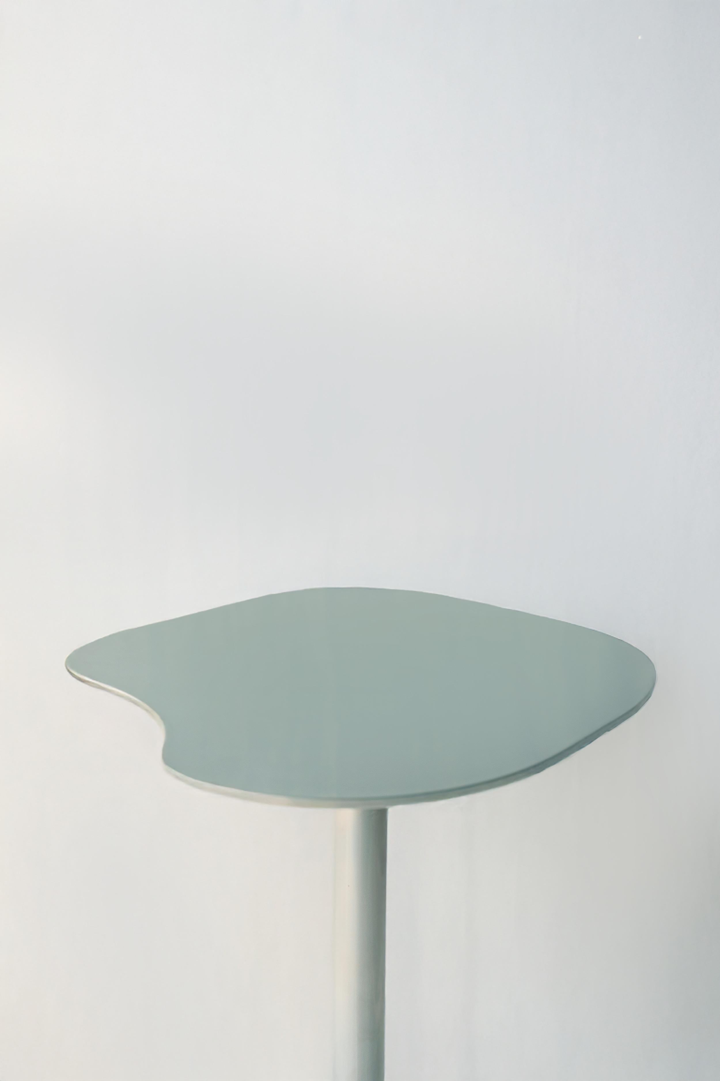 La table 44 est une incarnation moderne du minimalisme et de la durabilité, fabriquée en acier revêtu de poudre pour une esthétique industrielle épurée. Le design organique et fluide du plateau de table contraste magnifiquement avec la base