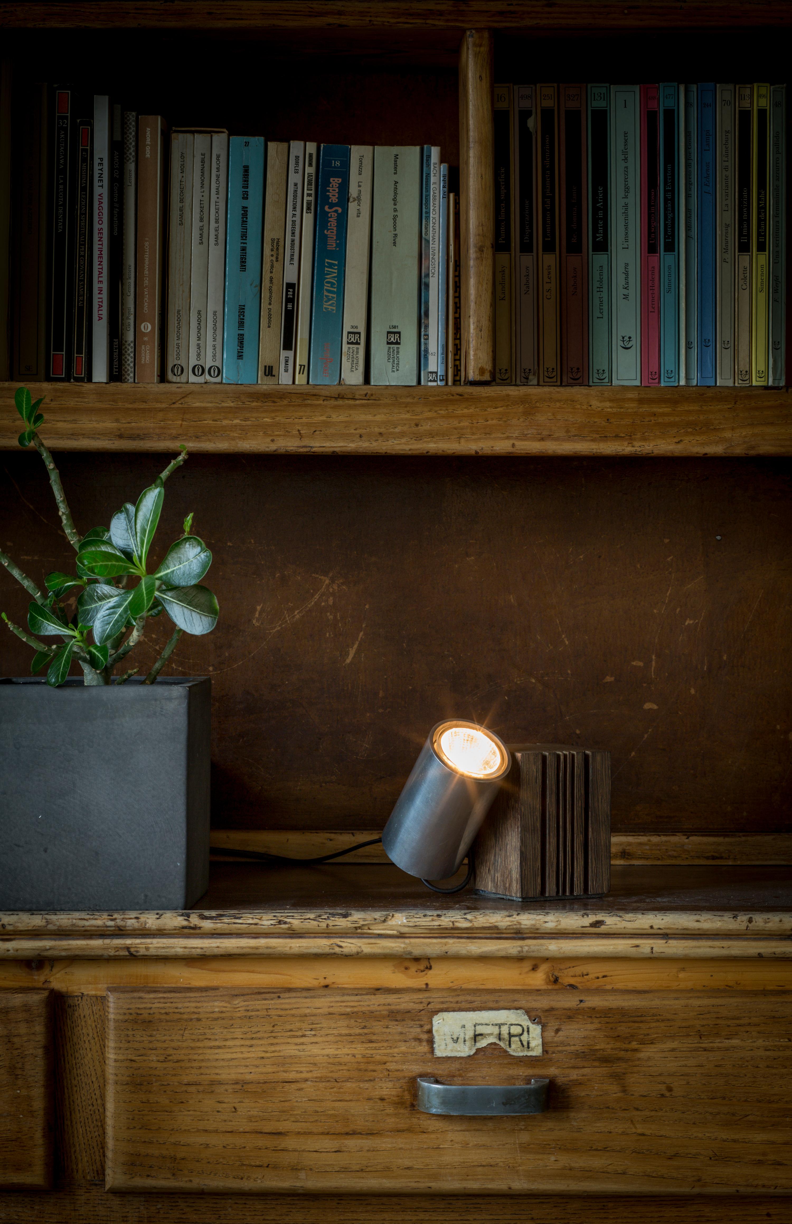 Anodized Table and floor lamp Wooden Lamp Alu For Sale