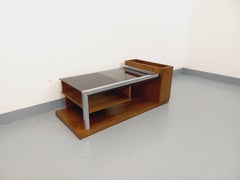 Table basse rectangulaire moderniste vintage avec niches en bois, chrome