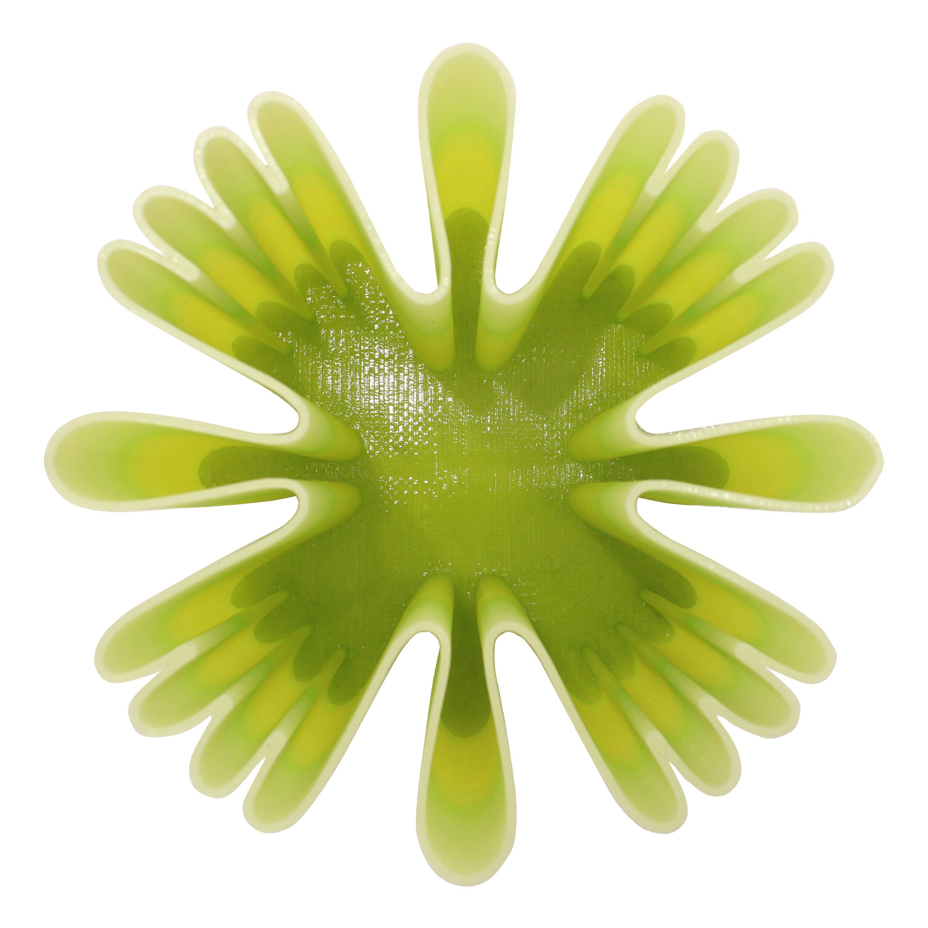 Tavolo della collezione 