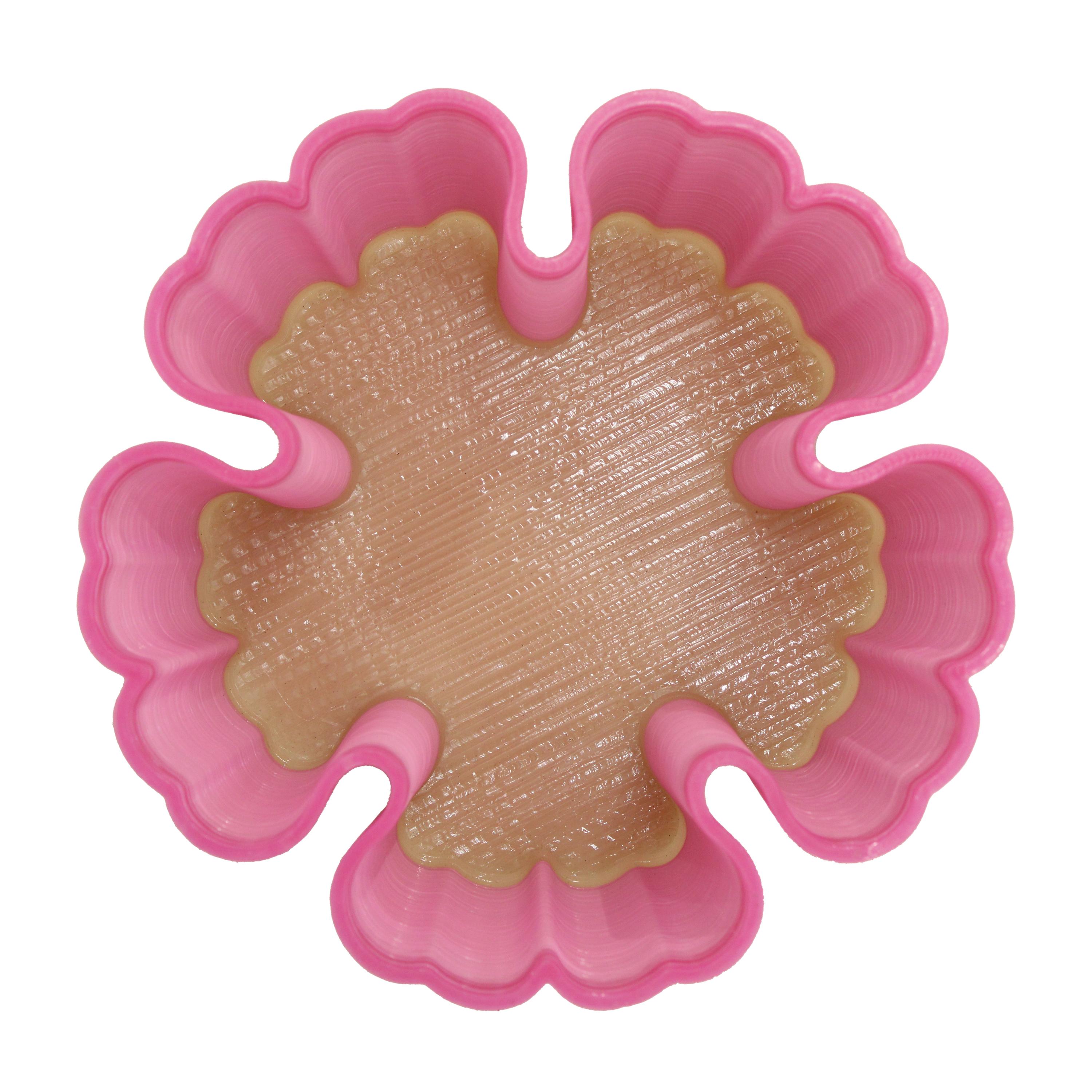 Table de la Collection 