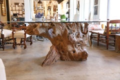 20th Century Beveled Glass Top Table from Tree Root