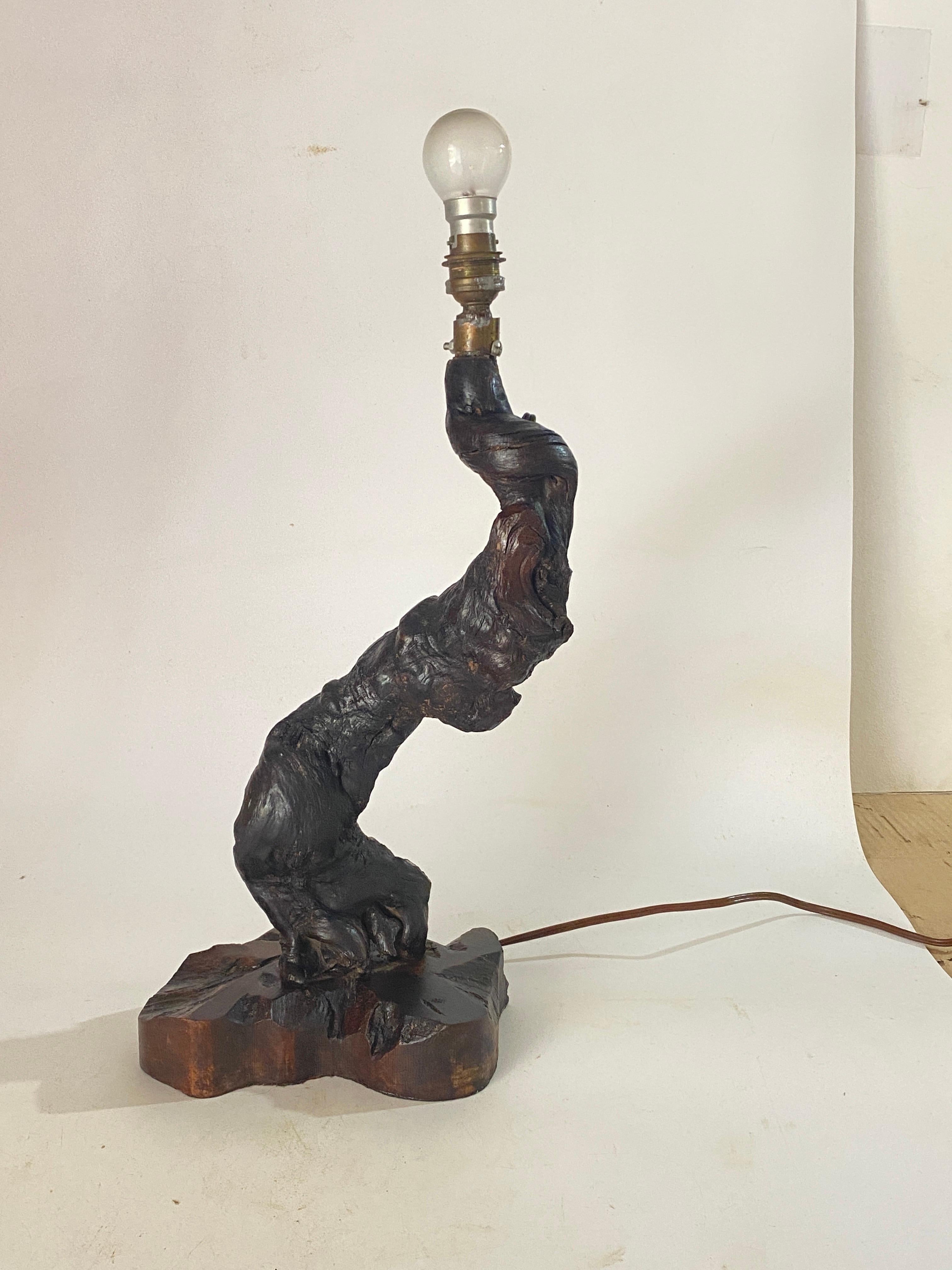 Table Lamp, Brutalist, Abstract Root Driftwood, Brown color France 20th Century For Sale 9