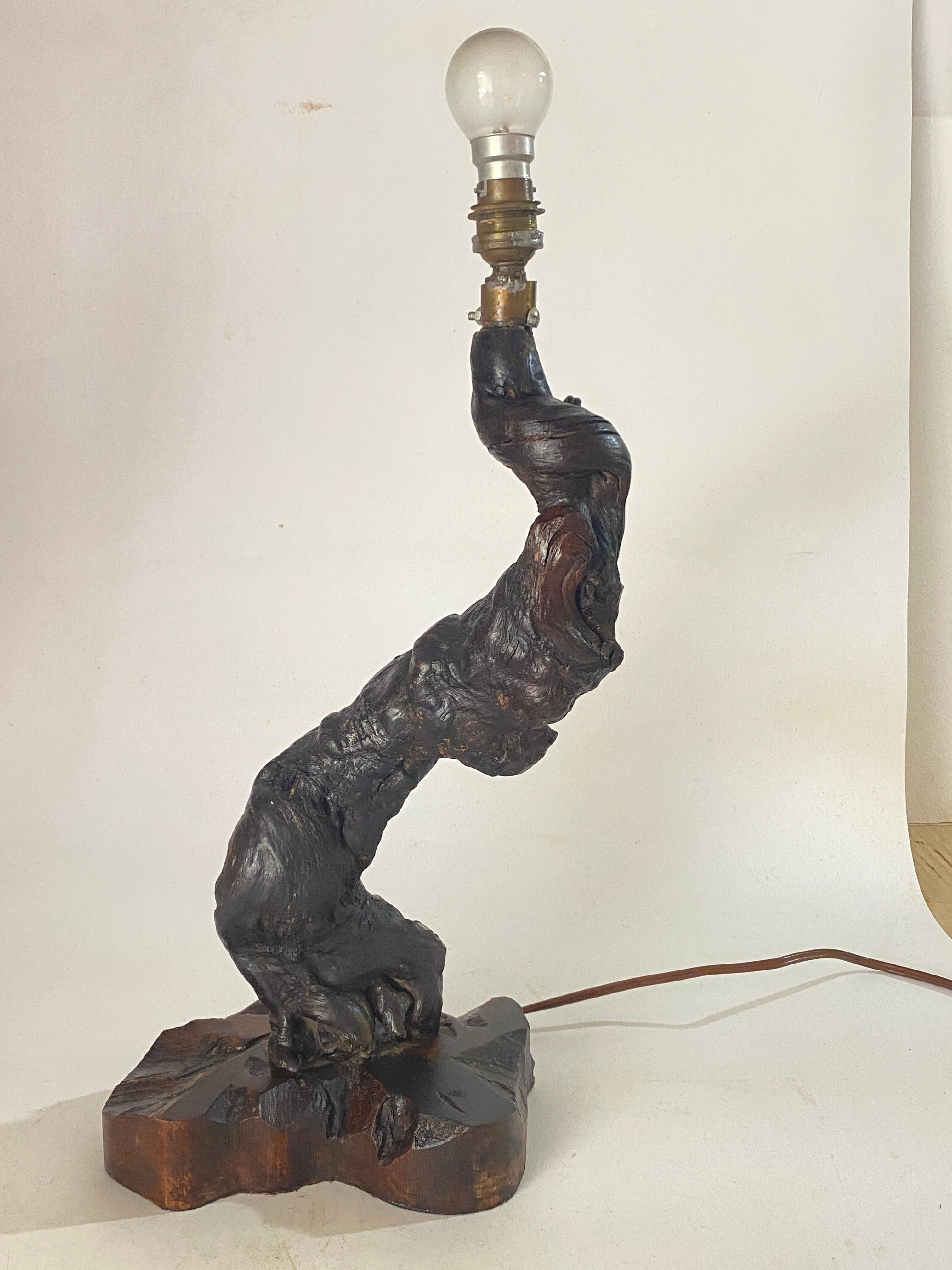 Table Lamp, Brutalist, Abstract Root Driftwood, Brown color France 20th Century For Sale 10