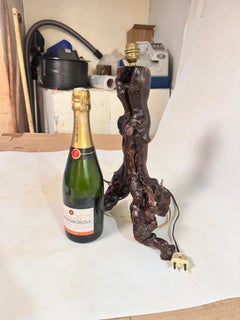 Table Lamp, Brutalist, Abstract Root Driftwood Brown color France 20th Century