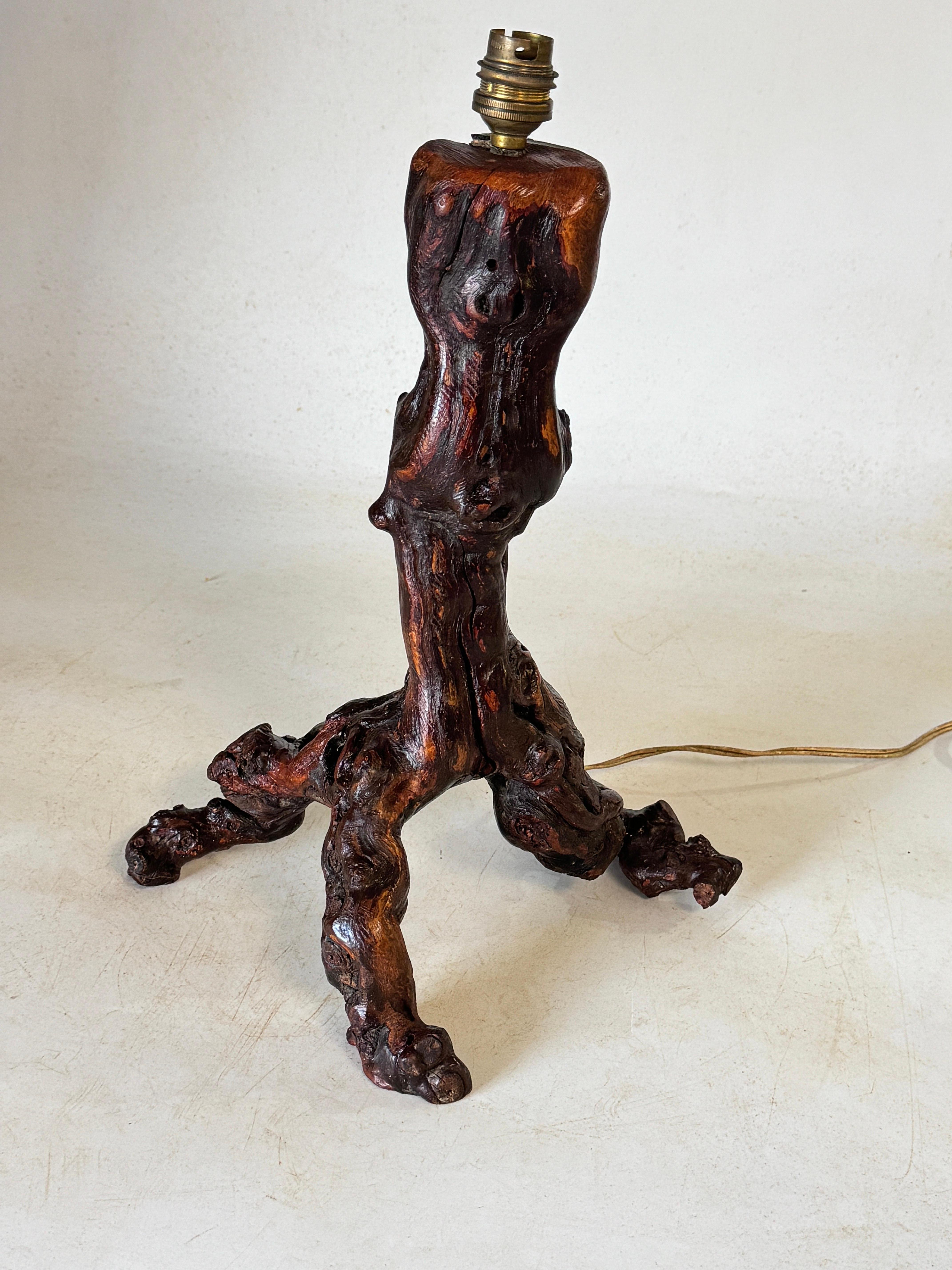 Table Lamp, Brutalist, Abstract Root Driftwood Brown color France 20th Century For Sale 1