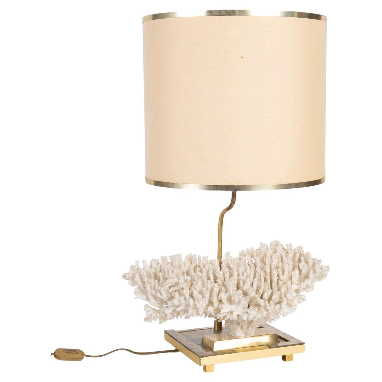 Table Lamp Decorated with a White Coral, Circa 1970.