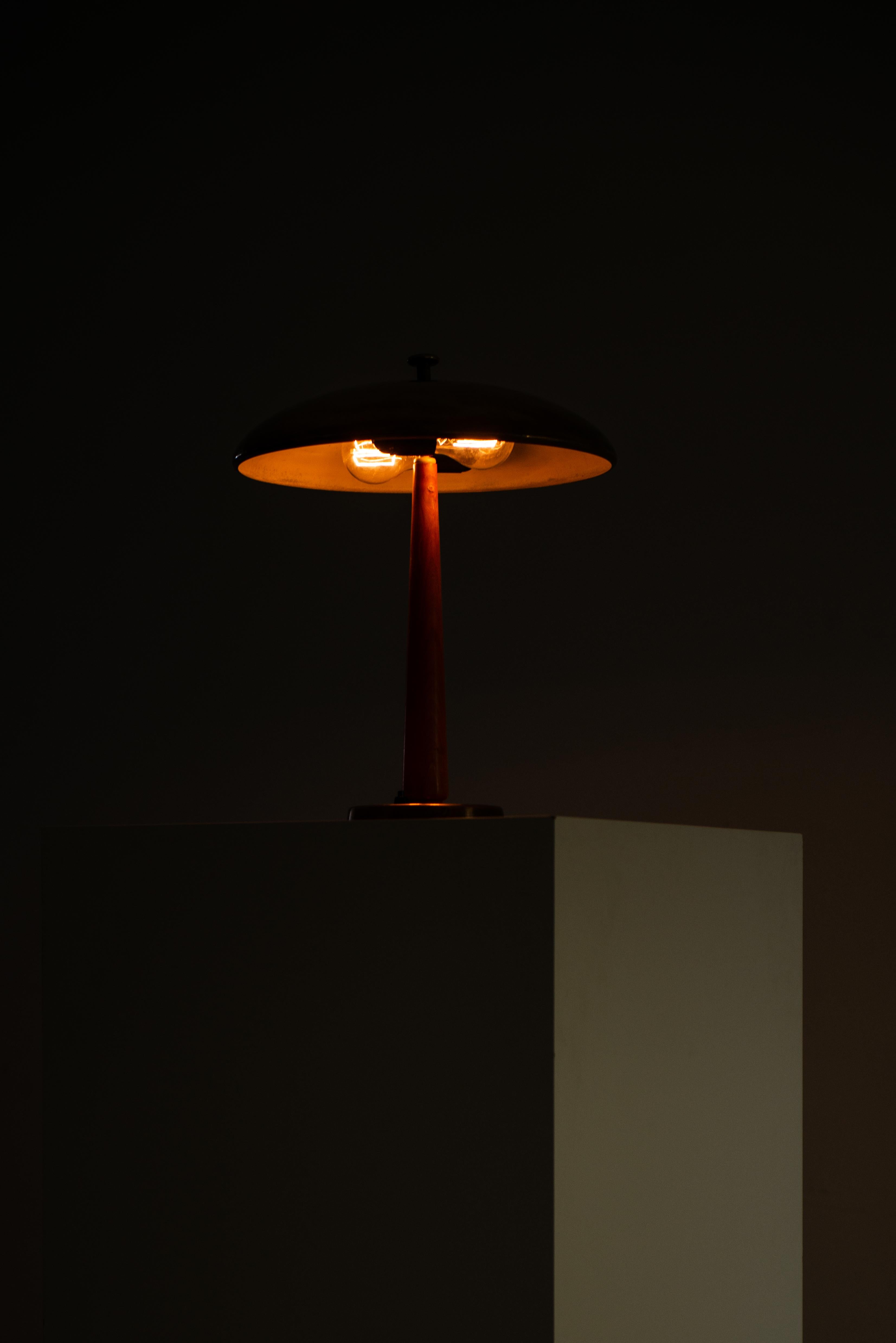 Table Lamp in Ash and Brass Produced in Sweden 1