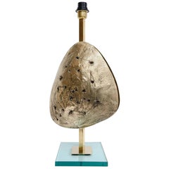 Table Lamp in Bronze with a Turtle Shell Decor