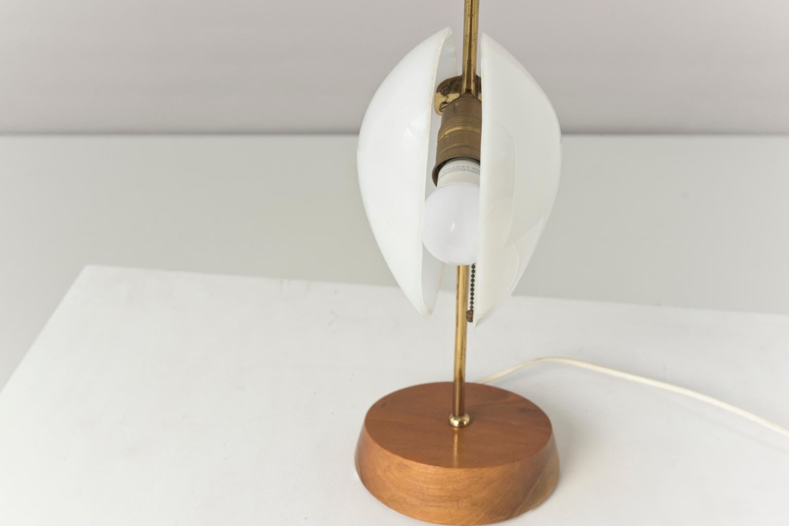 Table Lamp in Walnut and Plexiglass, Germany - 1955 For Sale 5