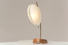 Table Lamp in Walnut and Plexiglass, Germany - 1955