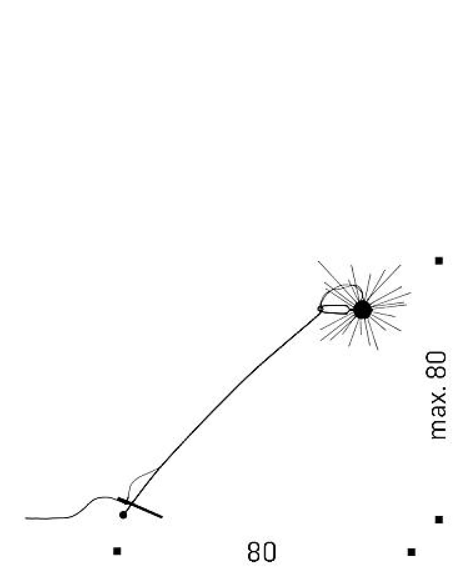 Table lamp Ingo Maurer Mozzkito In New Condition For Sale In Alcamo, IT