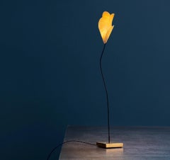 Table lamp Led Catellani & Smith For you