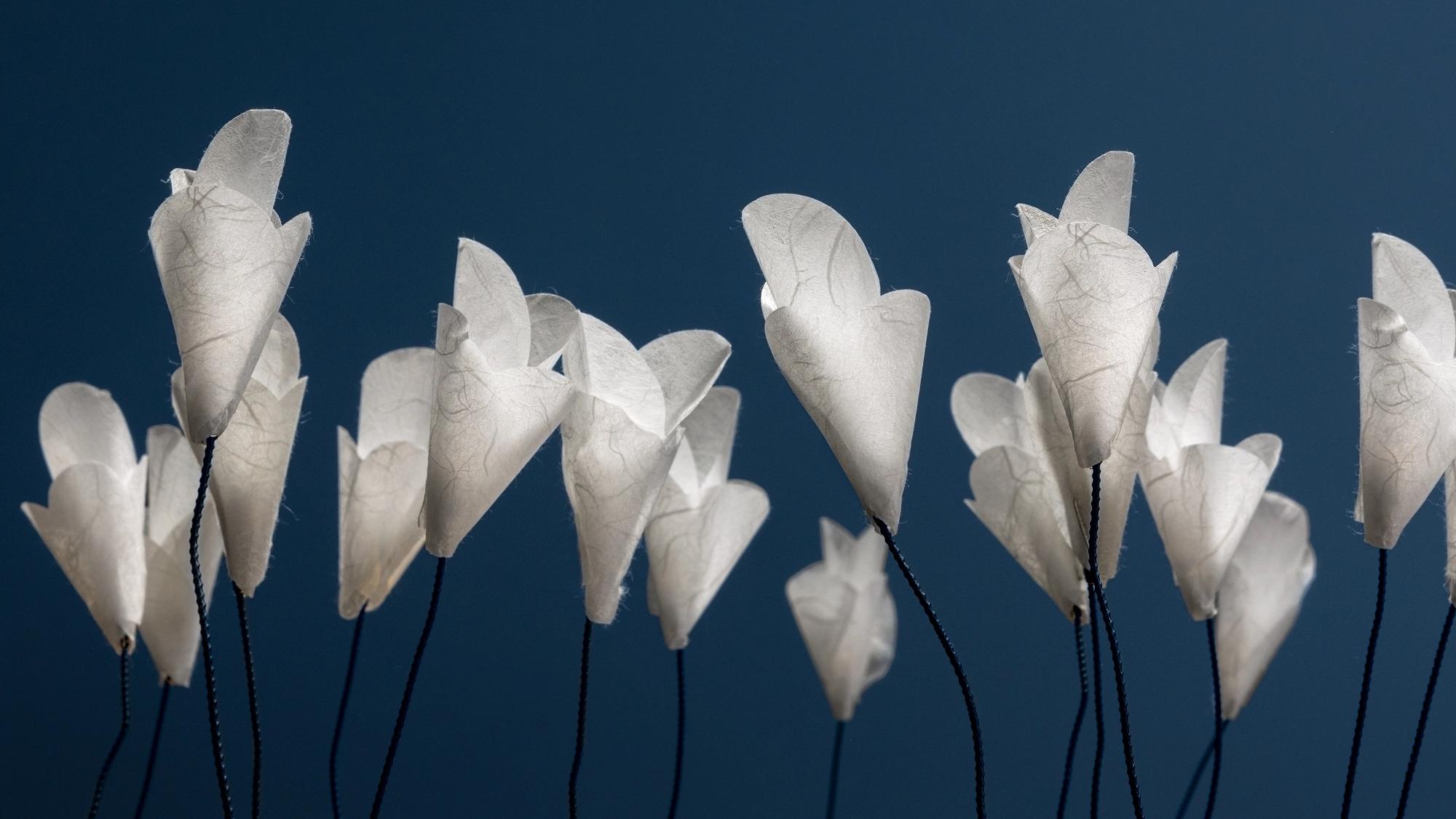 Lámpara de mesa Led Catellani & Smith Para ti en Nuevo estado para la venta en Alcamo, IT