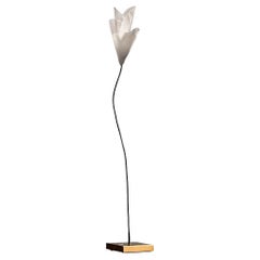 Table lamp Led Catellani & Smith For you