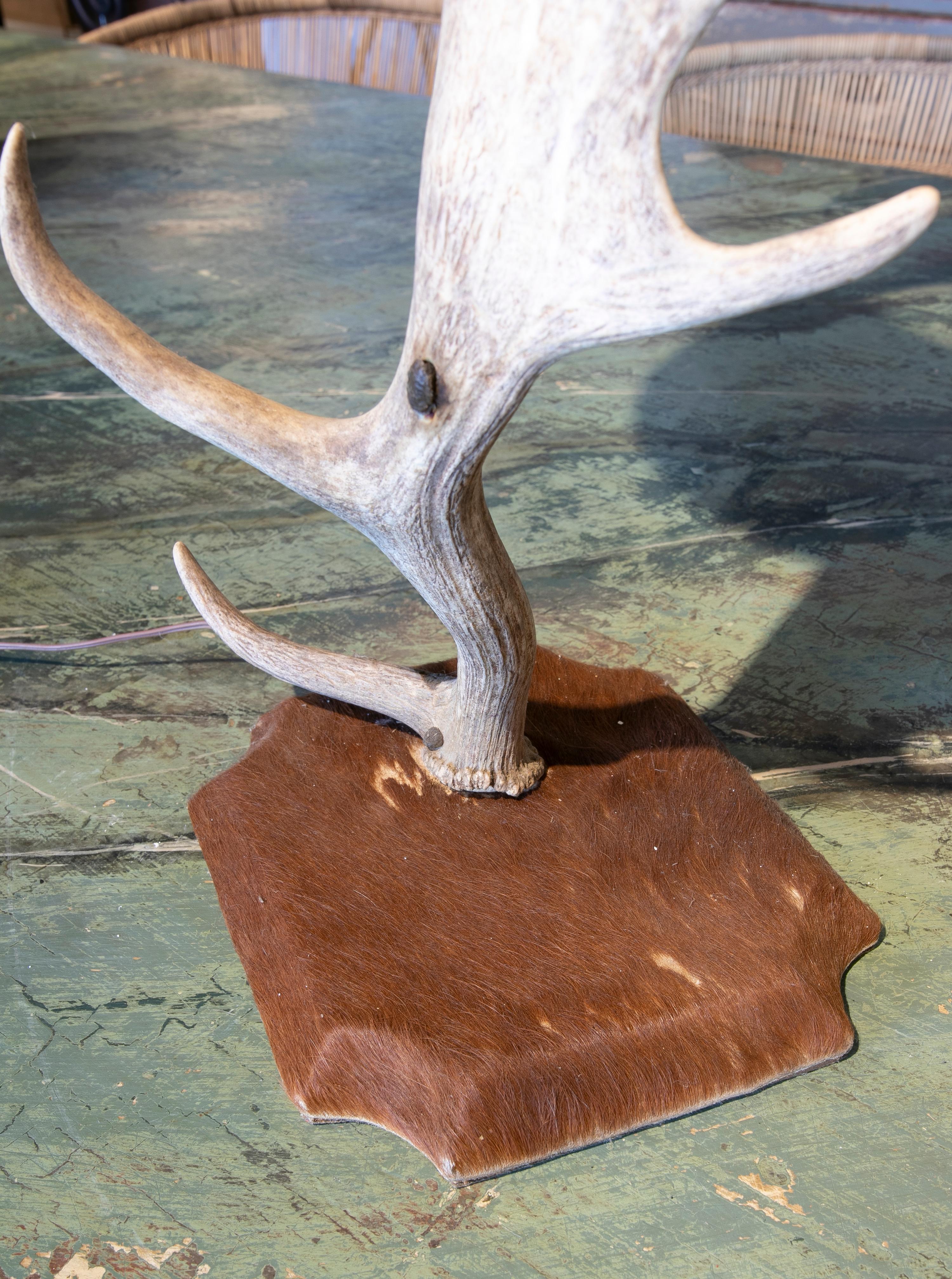 Austrian Table Lamp Made with an Antler and Deer Leather Used for the Base and Shade For Sale