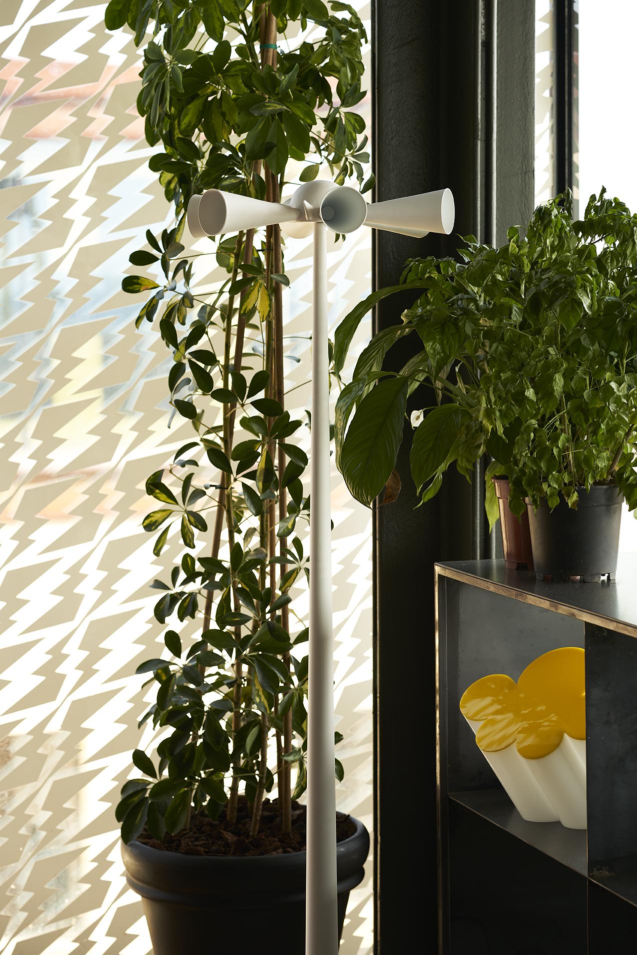 Plexiglass Table Lamp Passiflora Model by Superstudio for Poltronova, Italy