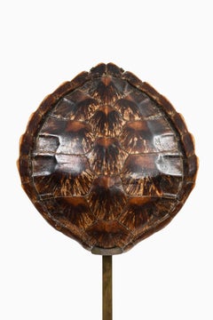 Lámpara de mesa Probablemente fabricada en Italia