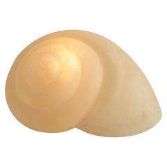 Table Lamp, Shell-Shaped, Italy, 1960/70s