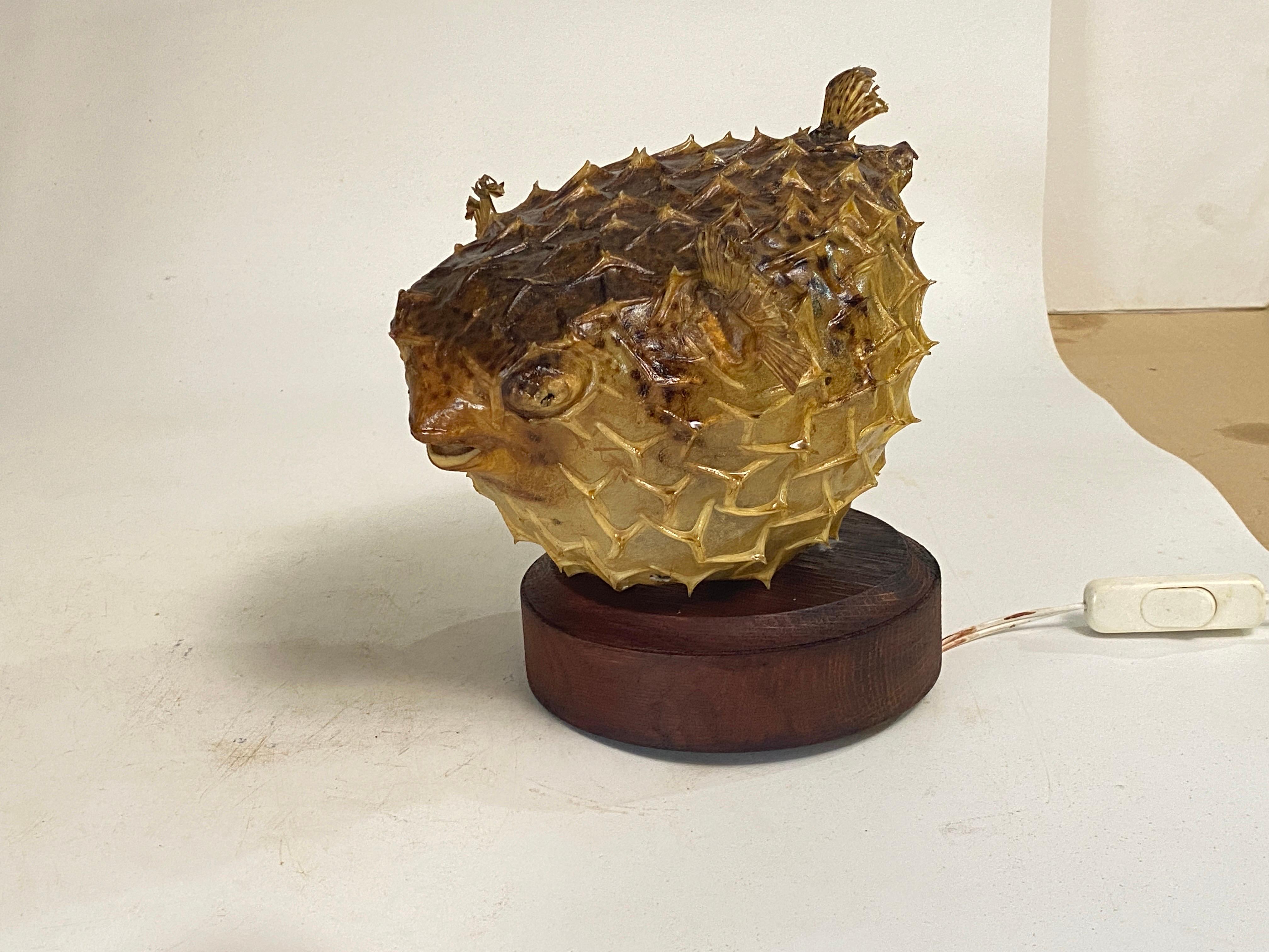 Tischlampe mit einem antiken Exemplar aus natürlicher Taxidermie aus Porcupinefisch im Angebot 9