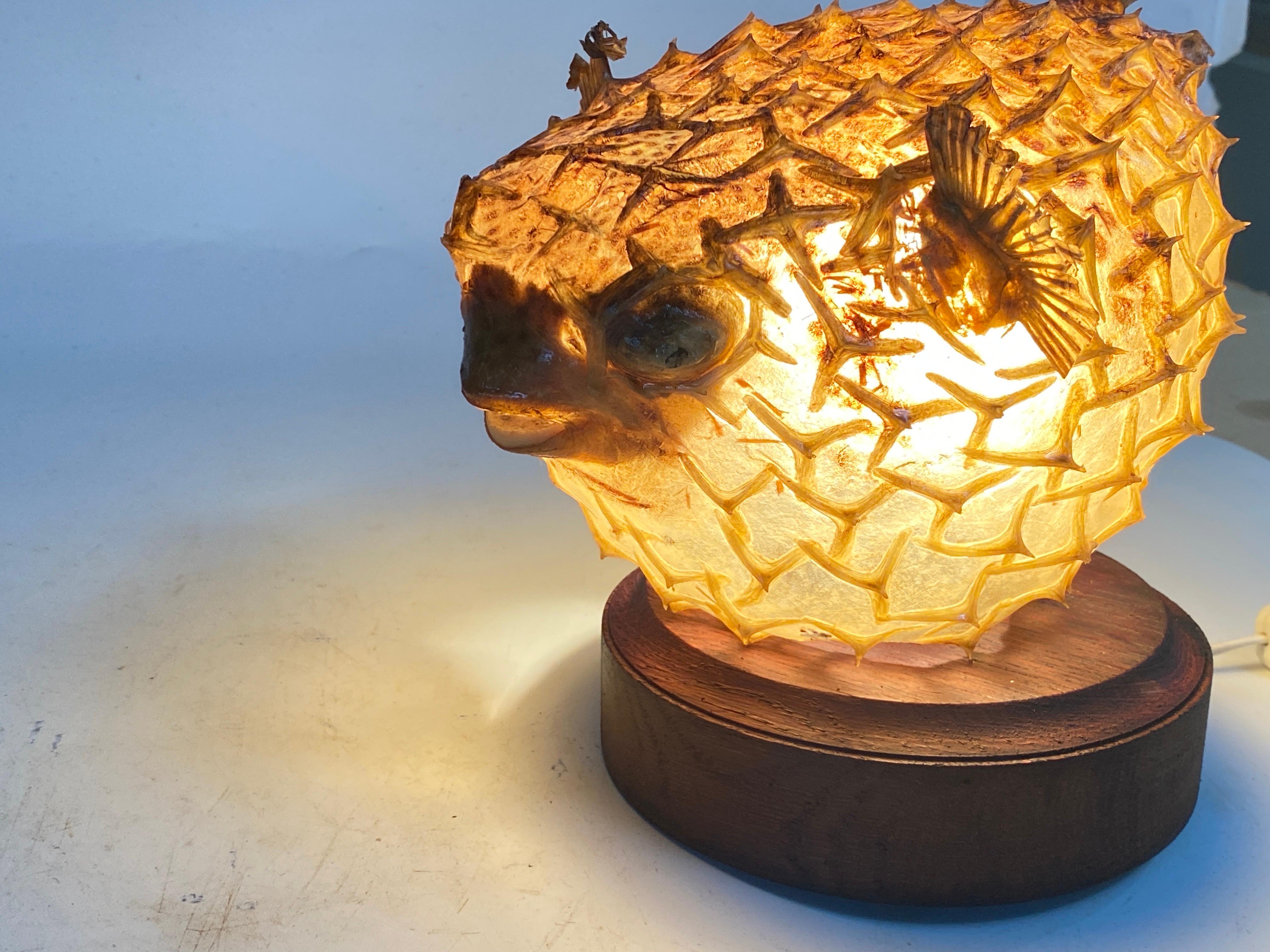 Tischlampe mit einem antiken Exemplar aus natürlicher Taxidermie aus Porcupinefisch im Angebot 10