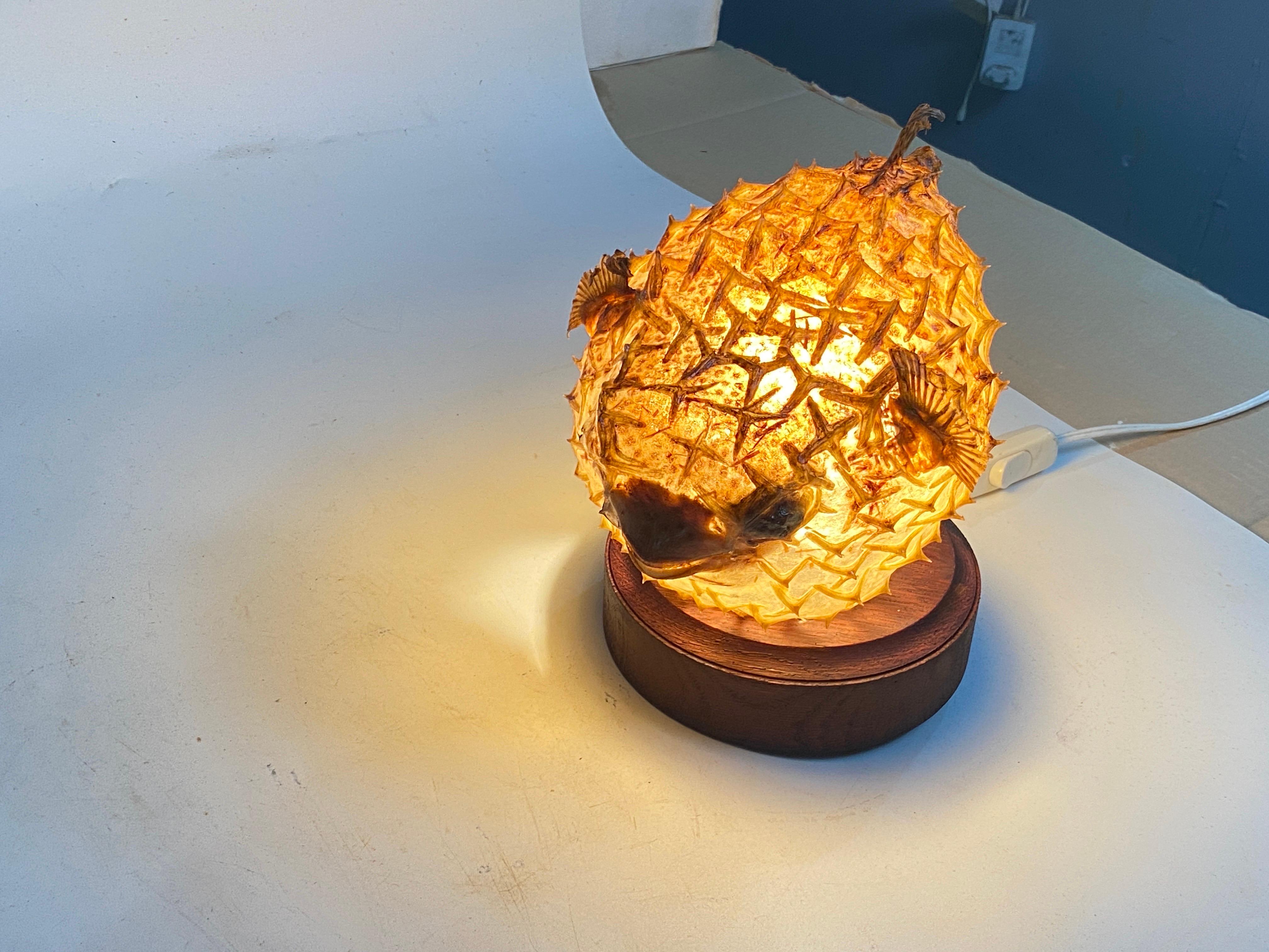 Tischlampe mit einem antiken Exemplar aus natürlicher Taxidermie aus Porcupinefisch im Angebot 11
