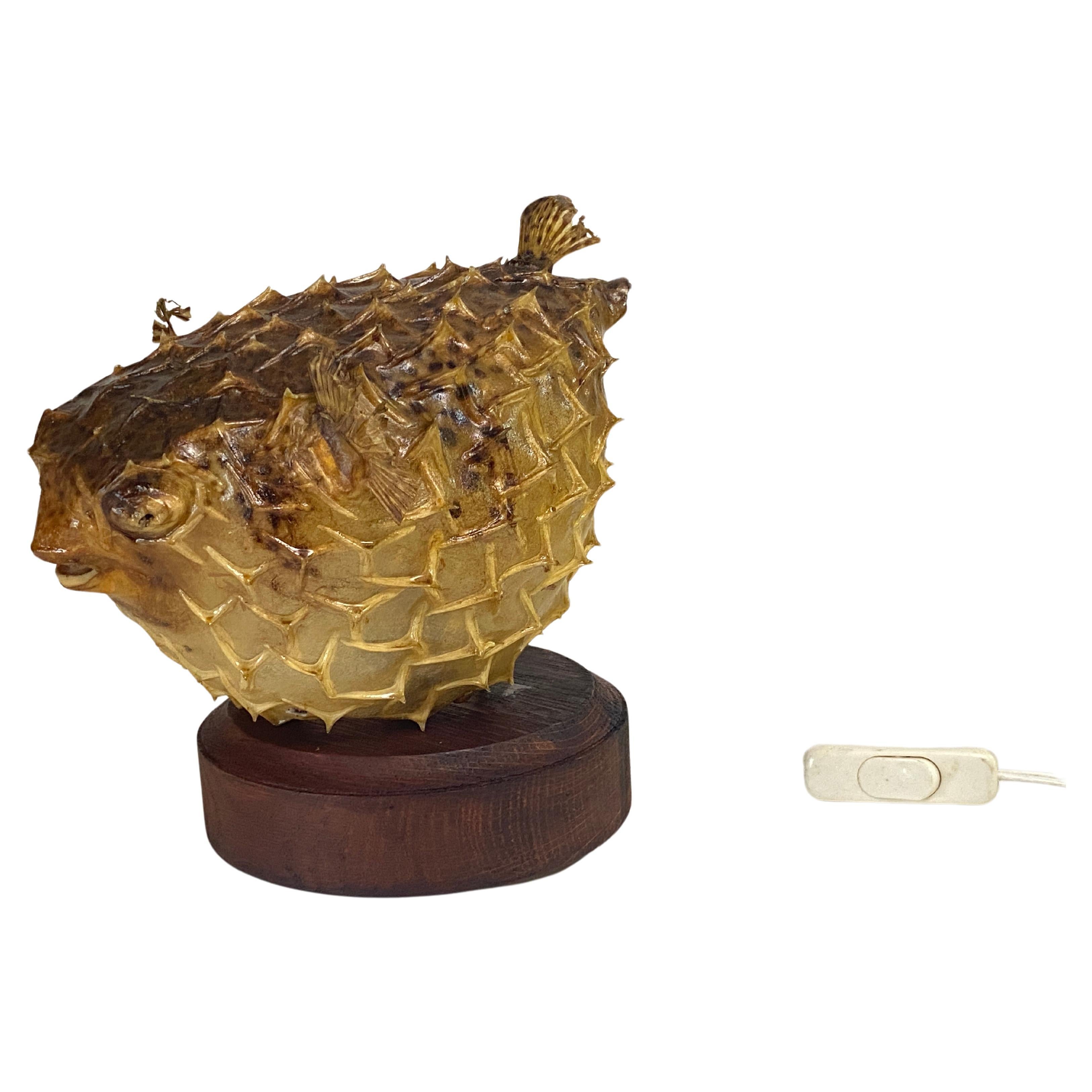 Tischlampe mit einem antiken Exemplar aus natürlicher Taxidermie aus Porcupinefisch (20. Jahrhundert) im Angebot