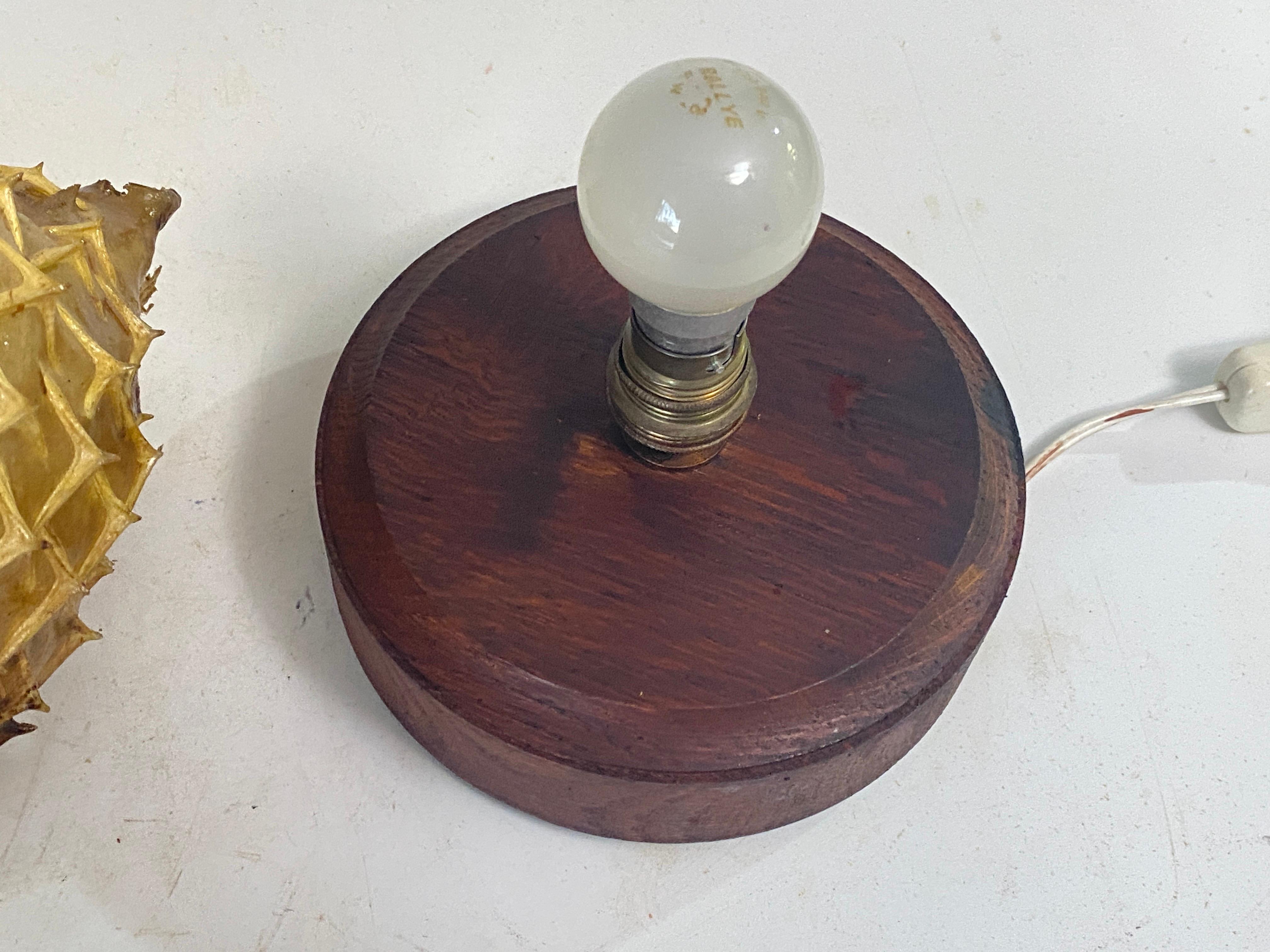 Bois Lampe de table avec un ancien spécimen de taxidermie naturelle de porcupine en vente